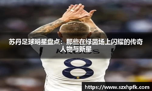 bsports登录入口
